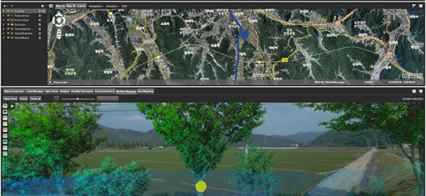 Managing Street-side trees in South Korea